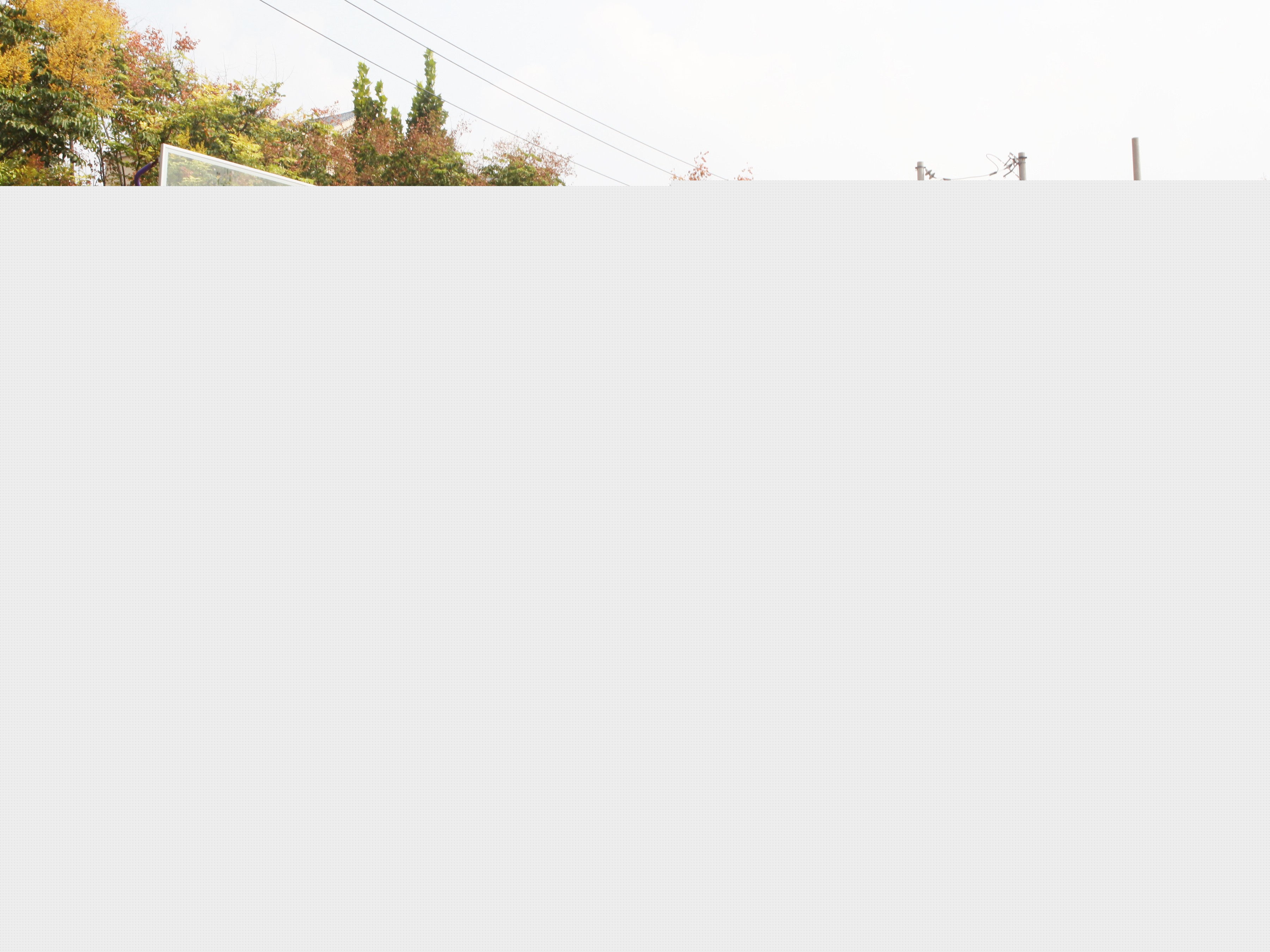 圖片關(guān)鍵詞